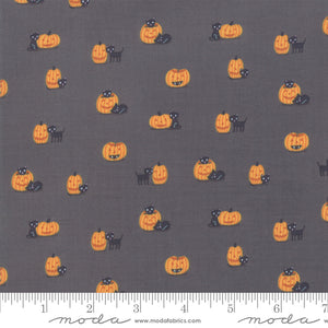 Ghouls and Goodies Cat O'Lantern in Licorice, Stacy Iest Hsu, 20684 12