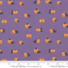 Load image into Gallery viewer, Ghouls and Goodies Cat O&#39;Lantern in WItches Brew, Stacy Iest Hsu, 20684 17

