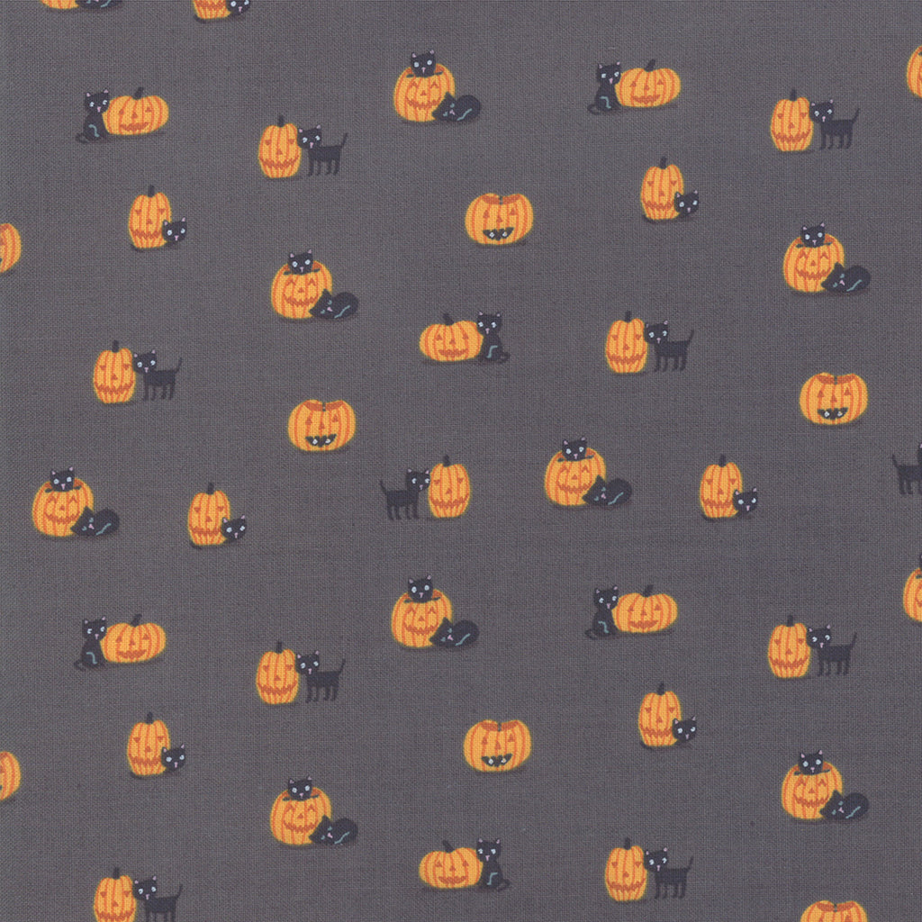 Ghouls and Goodies Cat O'Lantern in Licorice, Stacy Iest Hsu, 20684 12