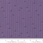 Ghouls and Goodies Spider Stripe Bundle, 5 Pieces, Stacy Iest Hsu, 20688