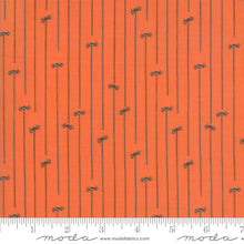 Load image into Gallery viewer, Ghouls and Goodies Spider Stripe in Pumpkin, Stacy Iest Hsu, 20688 20
