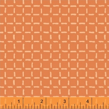 Caturday Boxed In Orange, Felice Regina, 42955-5