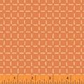 Caturday Boxed In Orange, Felice Regina, 42955-5