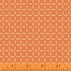 Caturday Boxed In Orange, Felice Regina, 42955-5