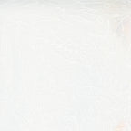 Words to Live By Filigree Doodle in Cloud, Gingiber, Moda Fabrics, 48322 24