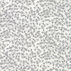 Print Shop Camera Ready in Cream and Black, Sweetwater, Moda Fabrics, 5747 23