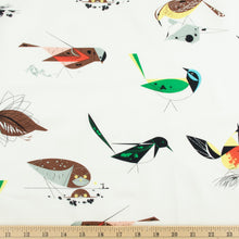 Load image into Gallery viewer, Western Birds, Charley Harper Western Birds Collection, CH-40
