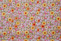 Once Upon a Time Pocket Full of Posies in Pink, De Leon Design Group, DE-7702-CR
