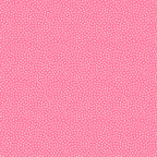 Florida Sand Dots in June, Sarah Watts, RS2061-13
