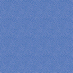 Florida Sand Dots in Twilight, Sarah Watts, RS2061-15