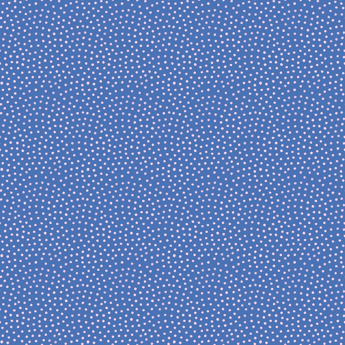 Florida Sand Dots in Twilight, Sarah Watts, RS2061-15