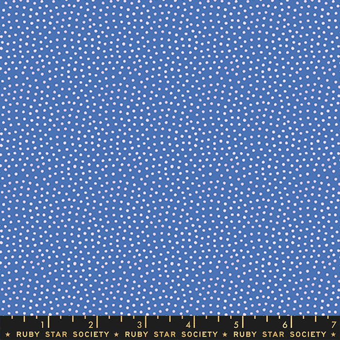 Florida Sand Dots in Twilight, Sarah Watts, RS2061-15