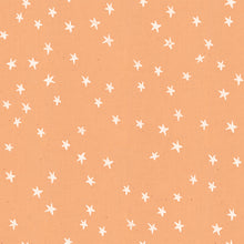 Load image into Gallery viewer, Starry in Warm Peach, Alexia Marcelle Abegg, Ruby Star Society, RS4006-17
