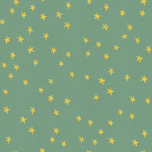 Load image into Gallery viewer, Starry in Soft Aqua, Alexia Marcelle Abegg, Ruby Star Society, RS4006-24
