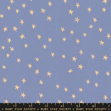 Load image into Gallery viewer, Starry in Dusk, Alexia Marcelle Abegg, Ruby Star Society, RS4006-25
