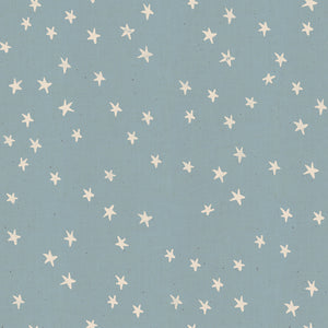 Starry in Soft Blue, Alexia Marcelle Abegg, Ruby Star Society, RS4006-28