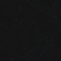 Speckled in Onyx, Rashida Coleman-Hale, Ruby Star Society, RS5027-102
