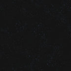 Speckled in Onyx, Rashida Coleman-Hale, Ruby Star Society, RS5027-102