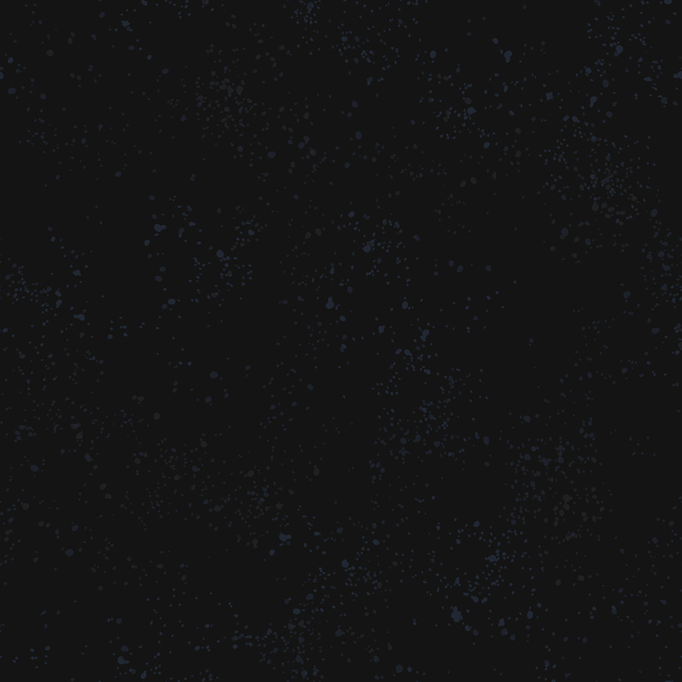 Speckled in Onyx, Rashida Coleman-Hale, Ruby Star Society, RS5027-102