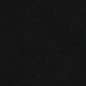 Speckled in Onyx, Rashida Coleman-Hale, Ruby Star Society, RS5027-102
