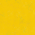 Speckled in Sunshine Metallic, Rashida Coleman-Hale, Ruby Star Society, RS5027-71M
