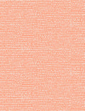 Catitude Moonscape in Coral, Dear Stella Designs, Stella-1150 Coral