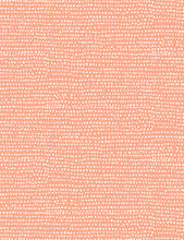 Load image into Gallery viewer, Catitude Moonscape in Coral, Dear Stella Designs, Stella-1150 Coral
