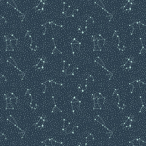 Cosmic Sea Galaxy in Dark Sky, Jessica Zhao for Calli and Co., CC406-DS1