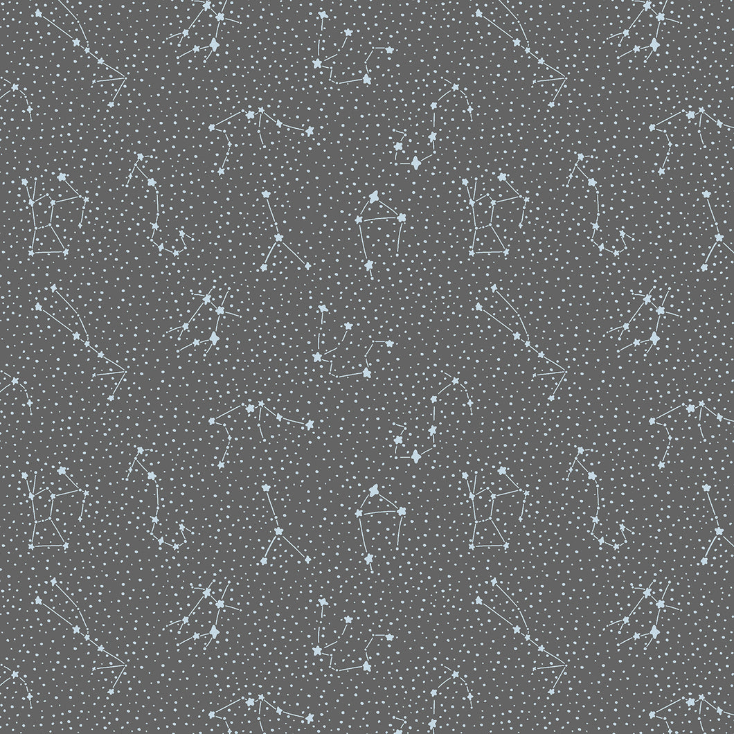Cosmic Sea Galaxy in Overcast, Jessica Zhao for Calli and Co., CC406-OV2
