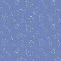 Cosmic Sea Galaxy in Sea Reflection, Jessica Zhao for Calli and Co., CC406-SR3