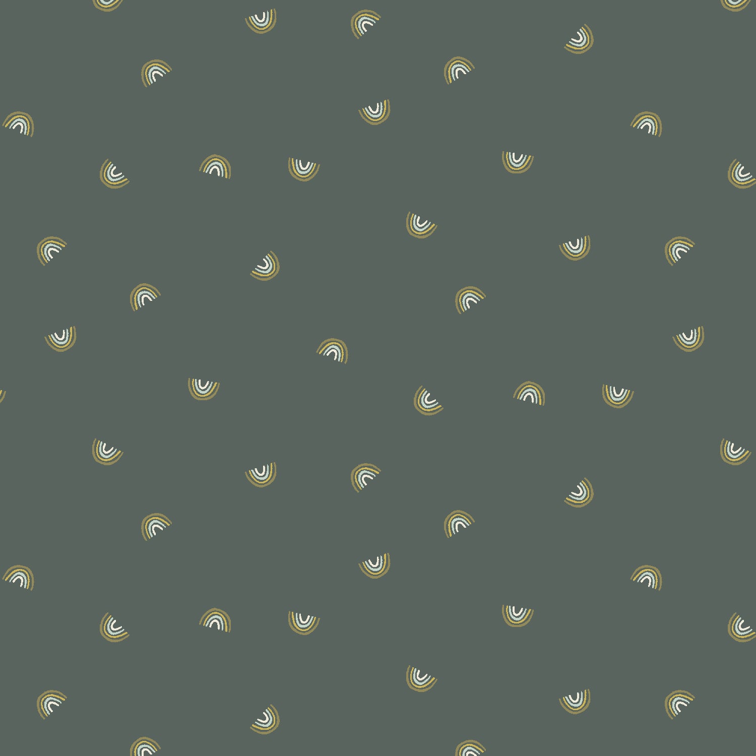 Always Look For Rainbows in Hidden Falls, Cotton+Steel Basics, CS106-HF8