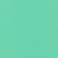 MINT Cirrus Solid, Chambray Weight, Crossweave, Yarn Dyed Solid Fabric, 100% GOTS-Certified Organic Cotton, Cloud9 Fabrics, CIR 960