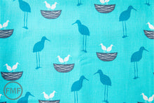 Load image into Gallery viewer, Perfectly Perched Nest in Celebration, Laurie Wisbrun, Robert Kaufman Fabrics, 100% Cotton Fabric, AWN-12849-203 CELEBRATION
