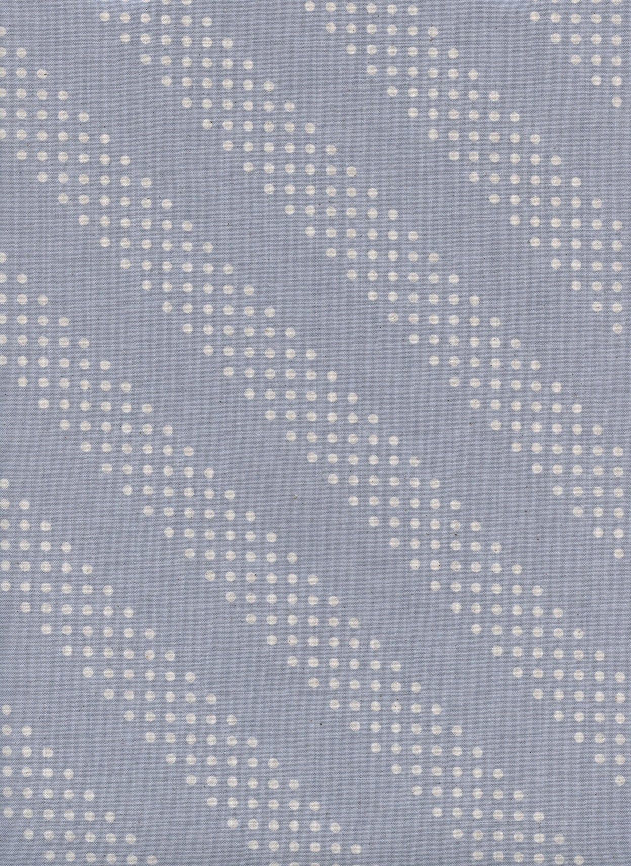 Dottie in Dove, Cotton+Steel Basics, Rashida Coleman Hale, RJR Fabrics, 100% Cotton Fabric, 5002-019