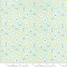 Load image into Gallery viewer, Home Sweet Home Garden Cameo Wallpaper in Cream and Aqua Blue, Stacy Iest Hsu, 100% Cotton Fabric, Moda Fabrics, 20576 21
