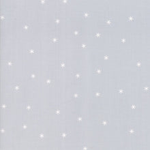 Load image into Gallery viewer, Spark in Dove, Melody Miller, Ruby Star Society, Moda Fabrics, 100% Cotton Fabric, RS0005 20
