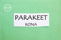 Parakeet Kona Cotton Solid Fabric from Robert Kaufman, K001-221