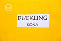 Duckling Kona Cotton Solid Fabric from Robert Kaufman, K001-840