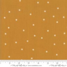 Load image into Gallery viewer, Spark in Butterscotch, Melody Miller, Ruby Star Society, Moda Fabrics, 100% Cotton Fabric, RS0005 15
