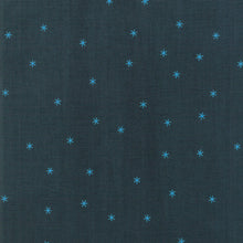 Load image into Gallery viewer, Spark in Pine, Melody Miller, Ruby Star Society, Moda Fabrics, 100% Cotton Fabric, RS0005 17
