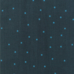 Spark in Pine, Melody Miller, Ruby Star Society, Moda Fabrics, 100% Cotton Fabric, RS0005 17