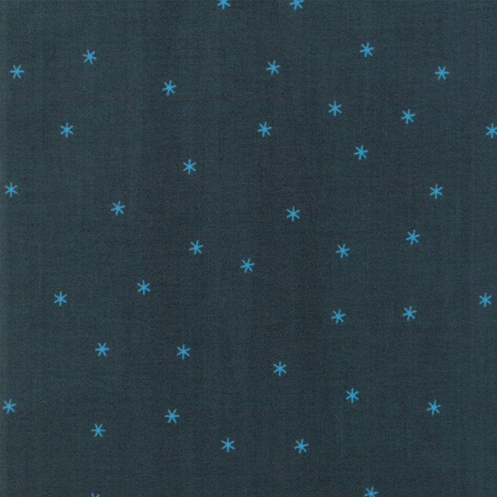 Spark in Pine, Melody Miller, Ruby Star Society, Moda Fabrics, 100% Cotton Fabric, RS0005 17