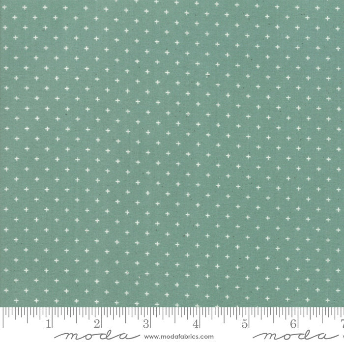 Add it Up in Soft Aqua, Alexia Abegg, Ruby Star Society, Moda Fabrics, 100% Cotton Fabric, RS4005 33