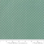 Add it Up in Soft Aqua, Alexia Abegg, Ruby Star Society, Moda Fabrics, 100% Cotton Fabric, RS4005 33