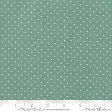 Load image into Gallery viewer, Add it Up in Soft Aqua, Alexia Abegg, Ruby Star Society, Moda Fabrics, 100% Cotton Fabric, RS4005 33

