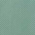 Add it Up in Soft Aqua, Alexia Abegg, Ruby Star Society, Moda Fabrics, 100% Cotton Fabric, RS4005 33