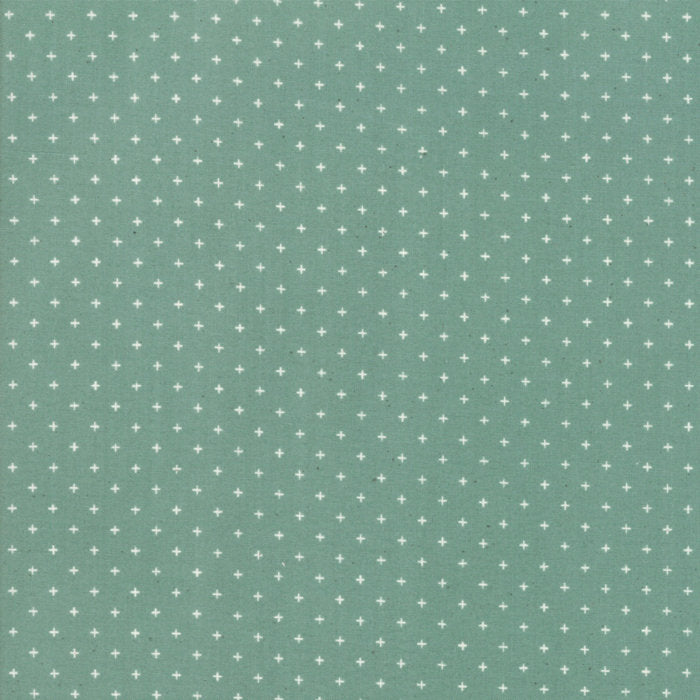 Add it Up in Soft Aqua, Alexia Abegg, Ruby Star Society, Moda Fabrics, 100% Cotton Fabric, RS4005 33
