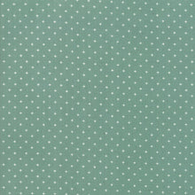 Load image into Gallery viewer, Add it Up in Soft Aqua, Alexia Abegg, Ruby Star Society, Moda Fabrics, 100% Cotton Fabric, RS4005 33
