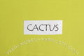 Cactus Kona Cotton Solid Fabric from Robert Kaufman, K001-199