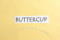 Buttercup Kona Cotton Solid Fabric from Robert Kaufman, K001 1056